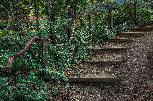 steps horiz