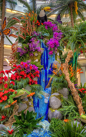 Tropical Display