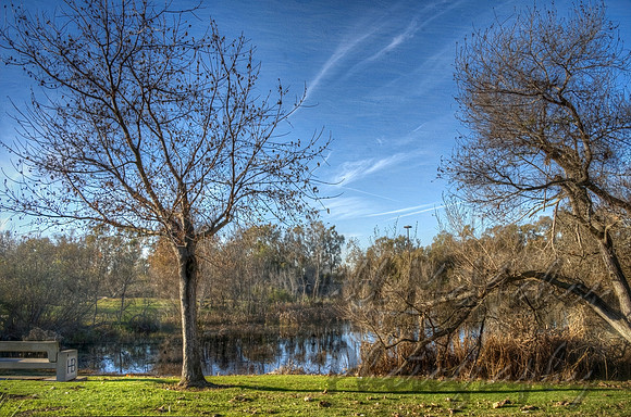 Peaceful