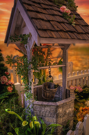 Wishing Well