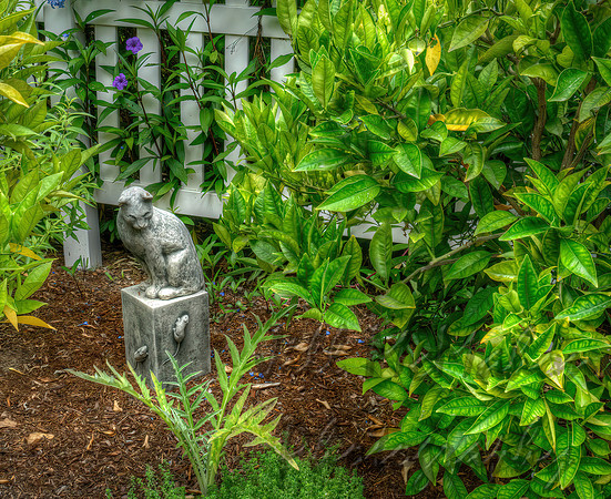 Picket Fence Cat With Mice