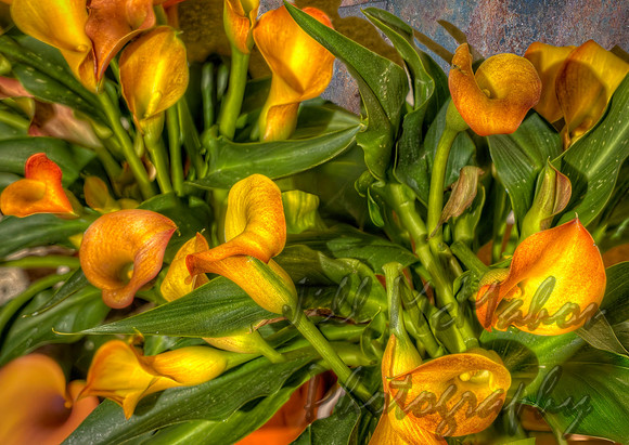 Yellow Lilies