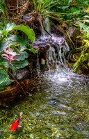 A Little Waterfall