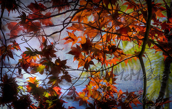 A Little Autumn