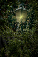 A Little Light