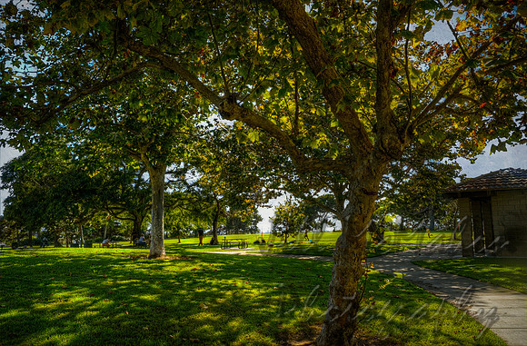 Vista Park
