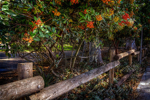 Autumn