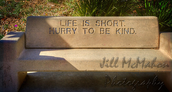 Found On A Bench