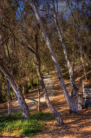 A Path Below