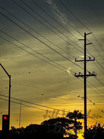 Stop And Look