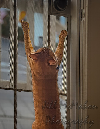 Out!