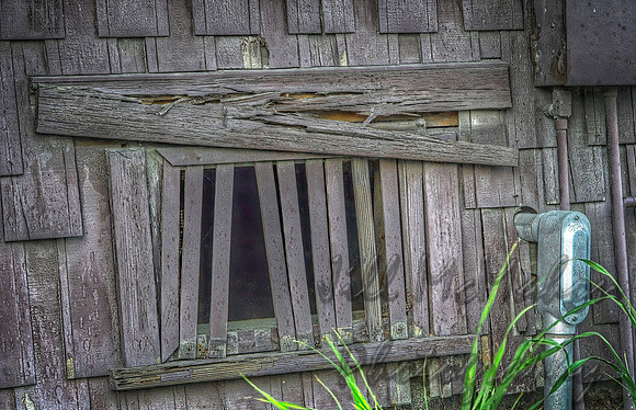 Escaped