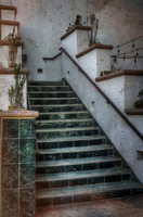 Green Steps