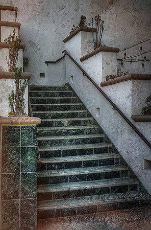 Green Steps