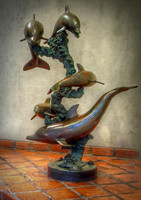Dolphins