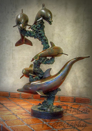 Dolphins
