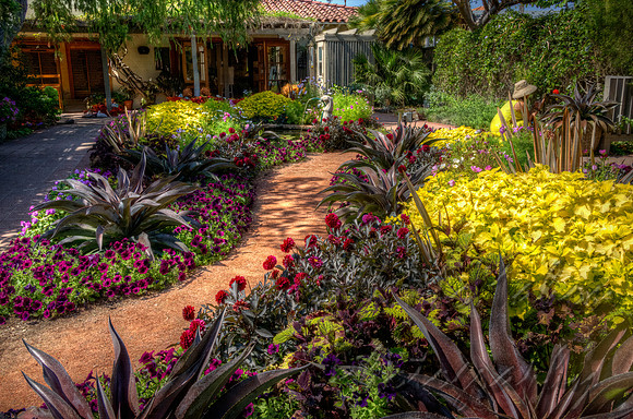 Sunny Path