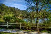 From Across The Lake