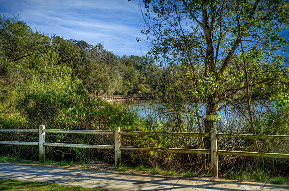 From Across The Lake