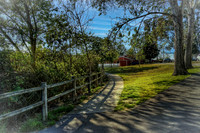 Fork In The Path