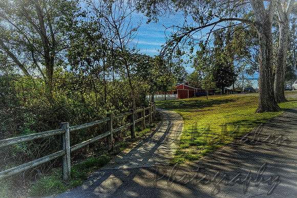 Fork In The Path