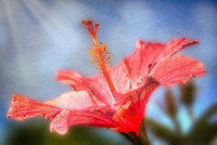 Reaching