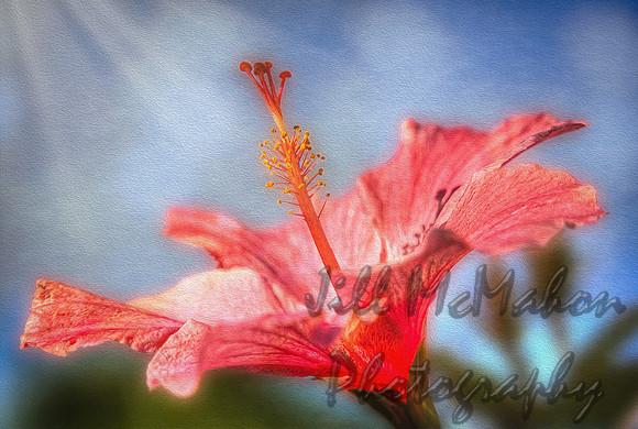 Reaching