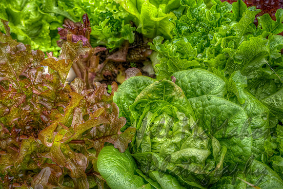 Lettuce