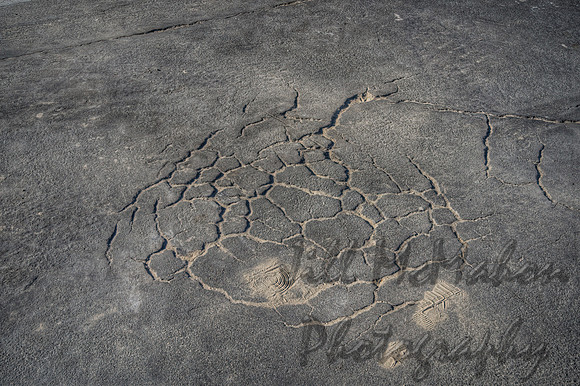 Cracked Asphalt