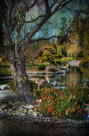785_6_7 lake view tree