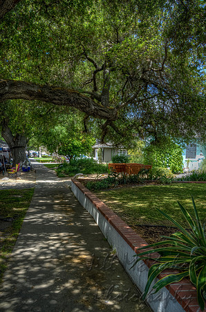 Shady Street