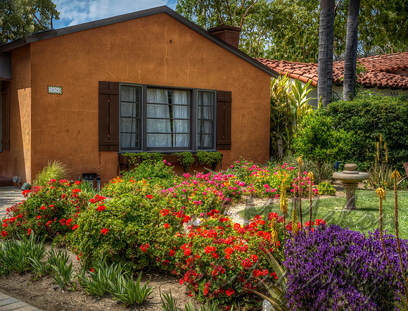 Front Yard Color