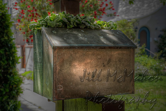 A Mailbox & Its Plant