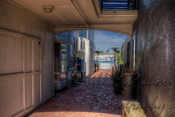 Even The Alley Has A View