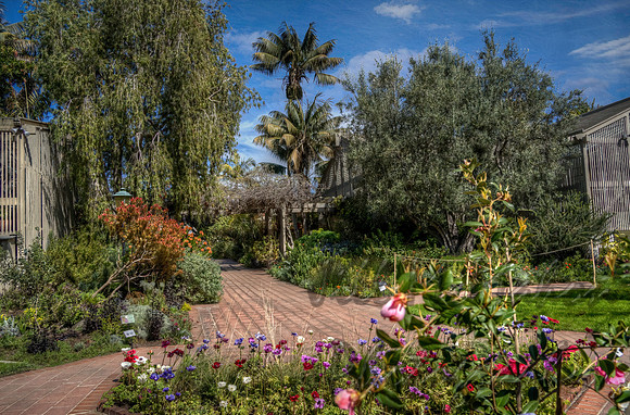 The Main Path