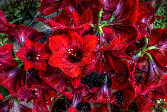 Red!