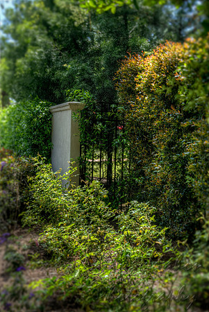 Peek Through The Fence