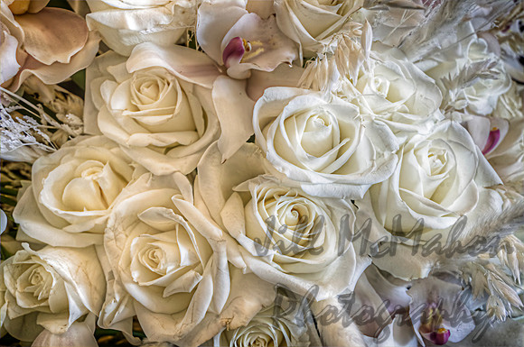 Mostly Roses