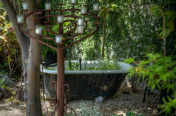 Backyard Art