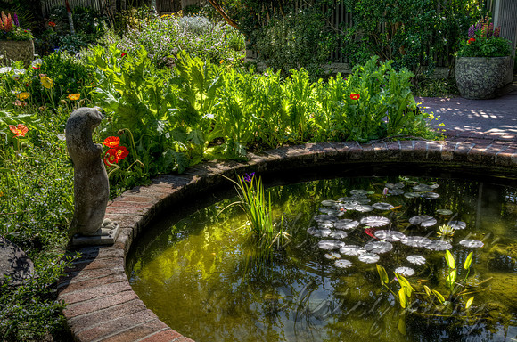 Lily Pond Overseer