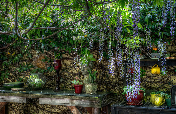 The Wisteria Place