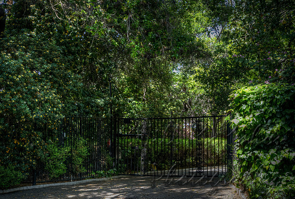 Hidden Driveway