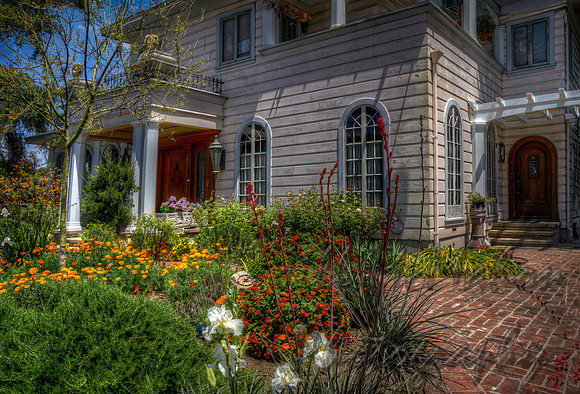 California Poppy Garden