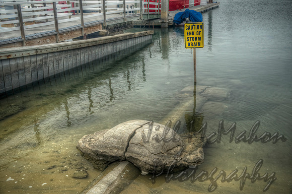 End Of Storm Drain