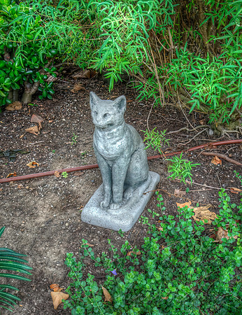 Sitting Cat In The Garden