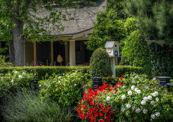 Bird House Garden