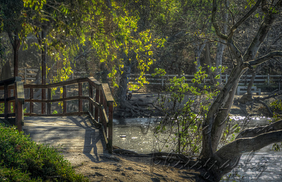 Bridge