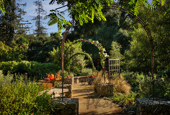 Autumn Entry