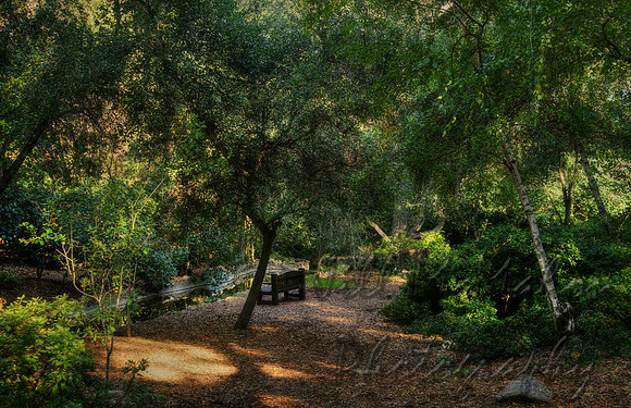 Seat By The Stream