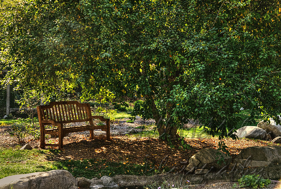 Shady Seat